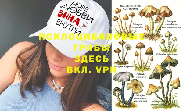 ECSTASY Алзамай