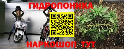 альфа пвп Гусев