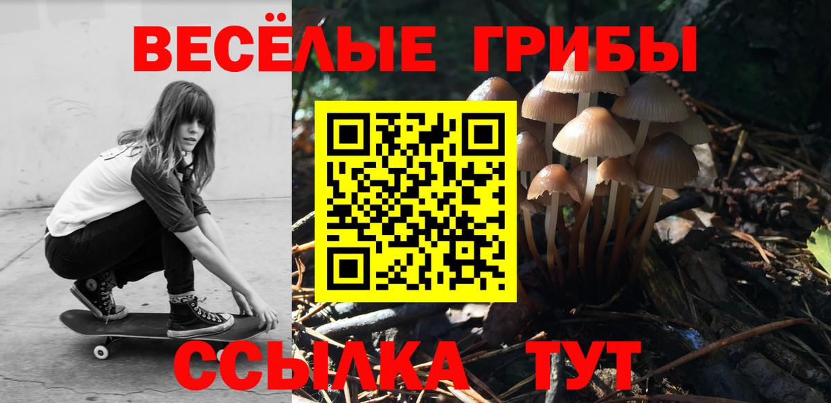 Новочебоксарск  Галлюциногенные грибы Magic Shrooms  Вход с VPN  Псилоцибиновые грибы GOLDEN TEACHER 
