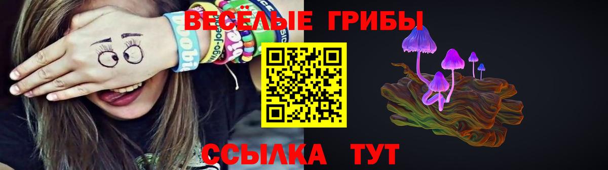 Галлюциногенные грибы мицелий Новочебоксарск